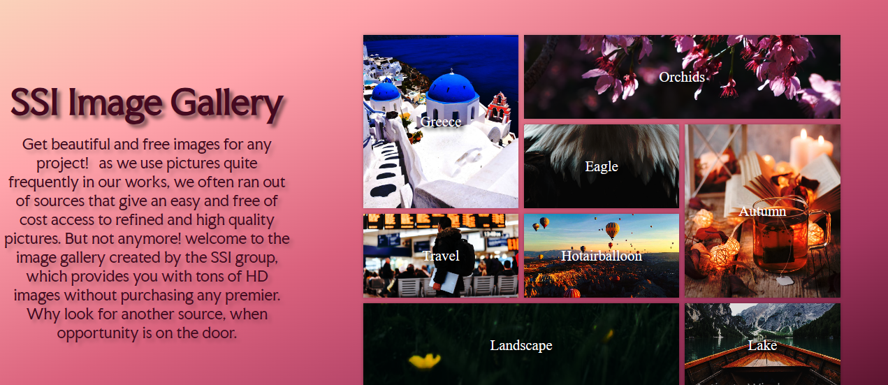 Interactive Gallery Screenshot